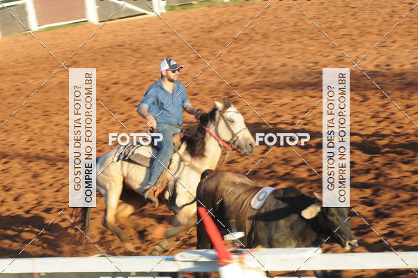 Buy your photos of the eventTEAM PENNING  GRANDE FINAL CAMARU on Fotop