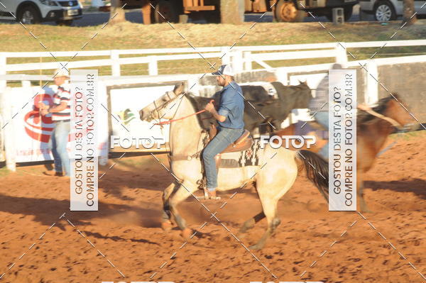 Buy your photos of the eventTEAM PENNING  GRANDE FINAL CAMARU on Fotop