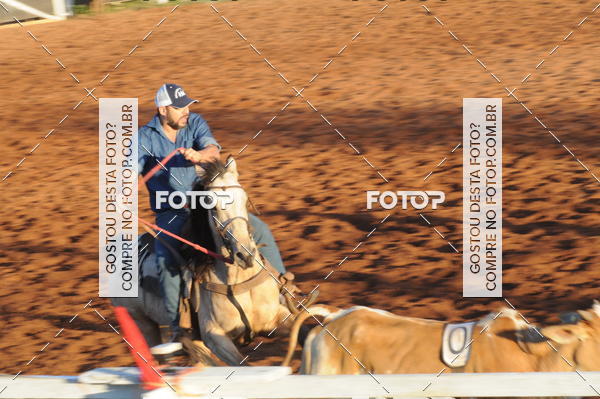 Buy your photos of the eventTEAM PENNING  GRANDE FINAL CAMARU on Fotop