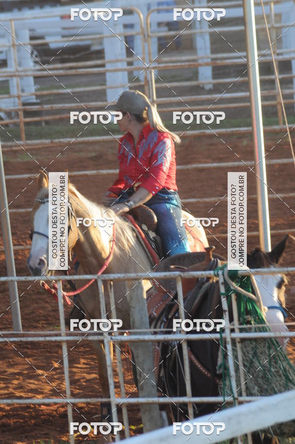 Buy your photos of the eventTEAM PENNING  GRANDE FINAL CAMARU on Fotop