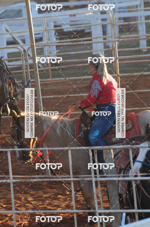 Buy your photos of the eventTEAM PENNING  GRANDE FINAL CAMARU on Fotop