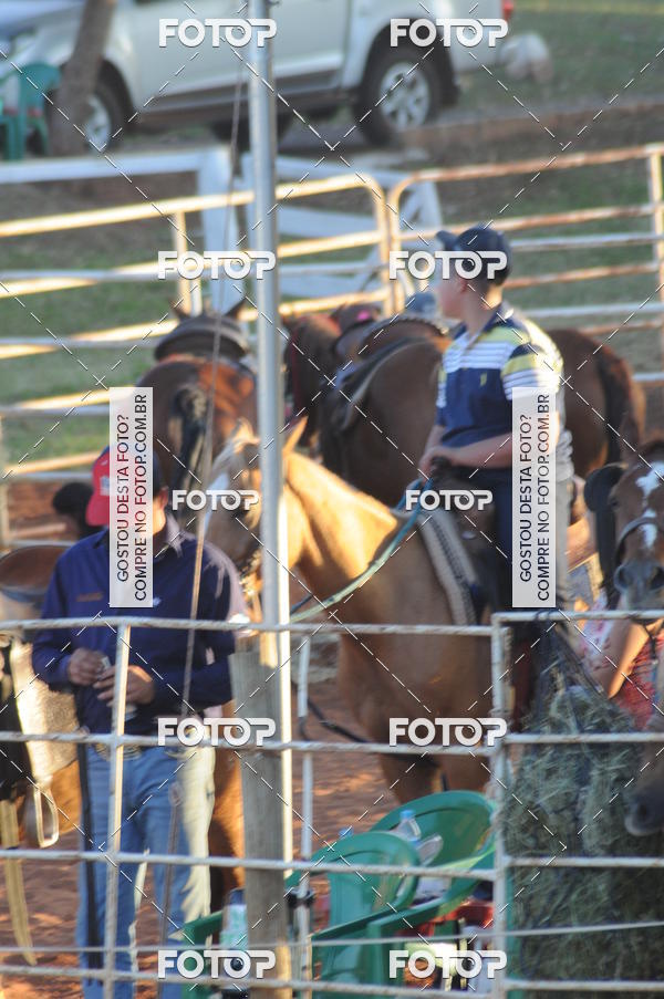 Buy your photos of the eventTEAM PENNING  GRANDE FINAL CAMARU on Fotop