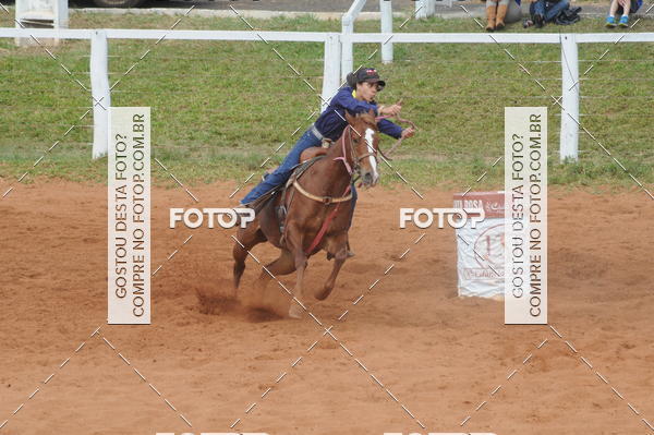 Buy your photos of the event3 TAMBORES ETAPA FINAL CAMARU on Fotop