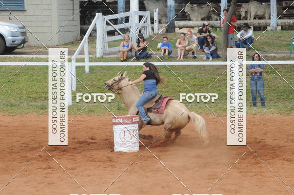 Buy your photos of the event3 TAMBORES ETAPA FINAL CAMARU on Fotop