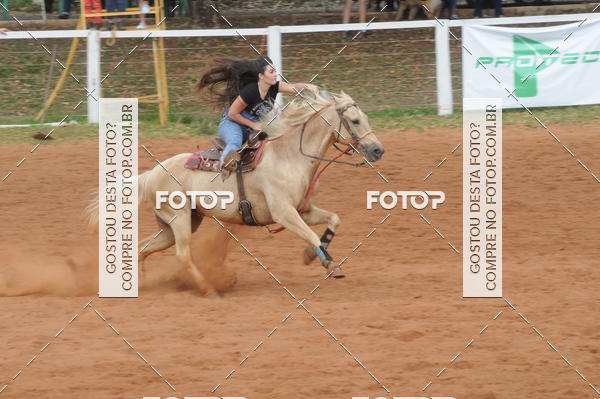 Buy your photos of the event3 TAMBORES ETAPA FINAL CAMARU on Fotop