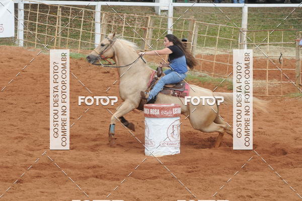 Buy your photos of the event3 TAMBORES ETAPA FINAL CAMARU on Fotop