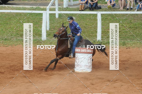 Buy your photos of the event3 TAMBORES ETAPA FINAL CAMARU on Fotop