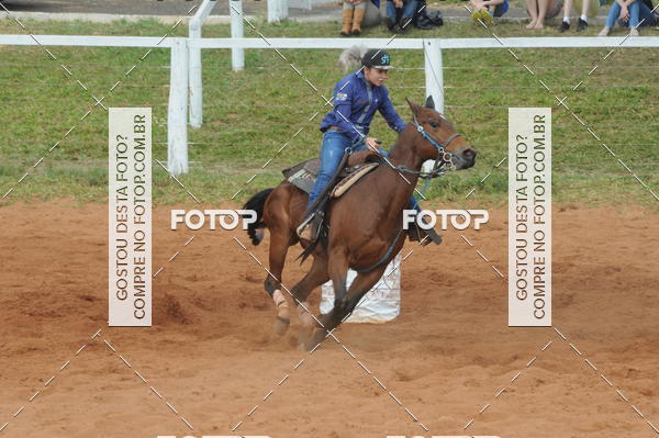 Buy your photos of the event3 TAMBORES ETAPA FINAL CAMARU on Fotop