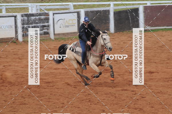 Buy your photos of the event3 TAMBORES ETAPA FINAL CAMARU on Fotop