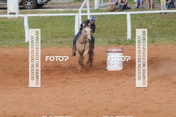 Buy your photos of the event3 TAMBORES ETAPA FINAL CAMARU on Fotop