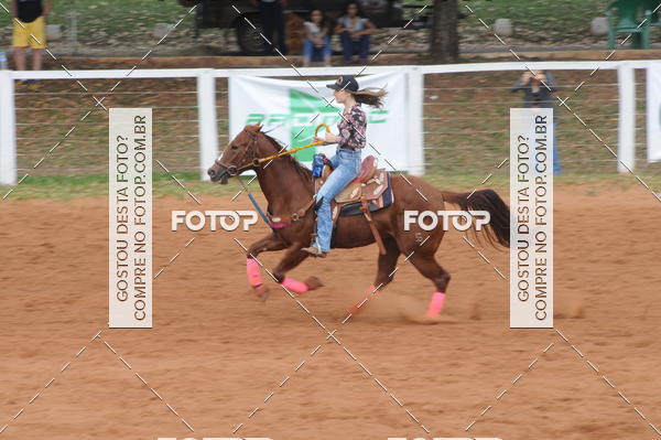 Buy your photos of the event3 TAMBORES ETAPA FINAL CAMARU on Fotop