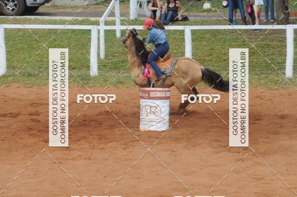 Buy your photos of the event3 TAMBORES ETAPA FINAL CAMARU on Fotop
