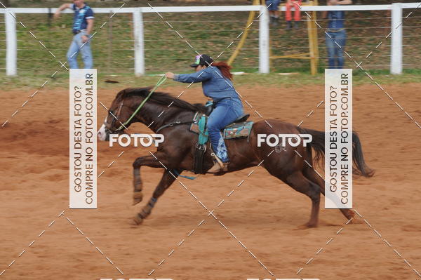 Buy your photos of the event3 TAMBORES ETAPA FINAL CAMARU on Fotop