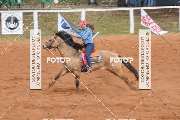 Buy your photos of the event3 TAMBORES ETAPA FINAL CAMARU on Fotop