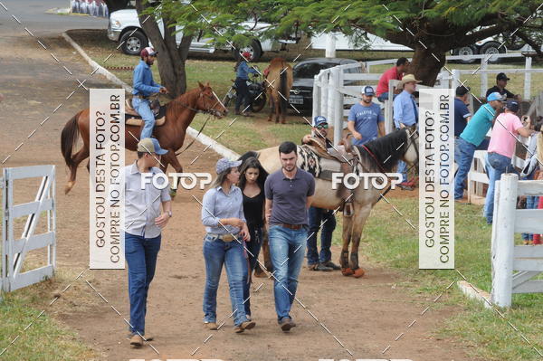Buy your photos of the event3 TAMBORES ETAPA FINAL CAMARU on Fotop
