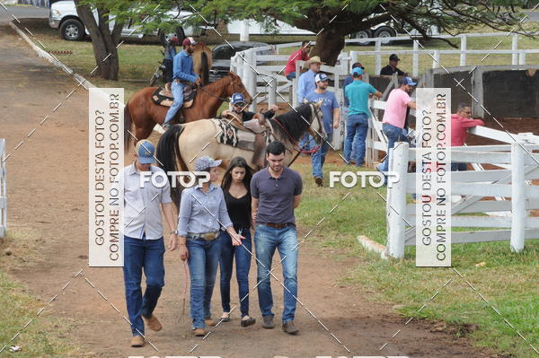 Buy your photos of the event3 TAMBORES ETAPA FINAL CAMARU on Fotop
