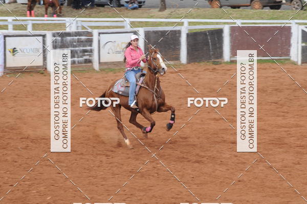 Buy your photos of the event3 TAMBORES ETAPA FINAL CAMARU on Fotop