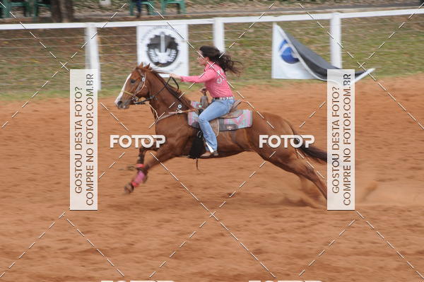 Buy your photos of the event3 TAMBORES ETAPA FINAL CAMARU on Fotop