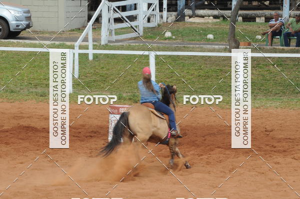 Buy your photos of the event3 TAMBORES ETAPA FINAL CAMARU on Fotop