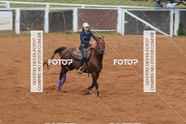 Buy your photos of the event3 TAMBORES ETAPA FINAL CAMARU on Fotop