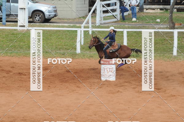 Buy your photos of the event3 TAMBORES ETAPA FINAL CAMARU on Fotop