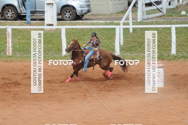 Buy your photos of the event3 TAMBORES ETAPA FINAL CAMARU on Fotop