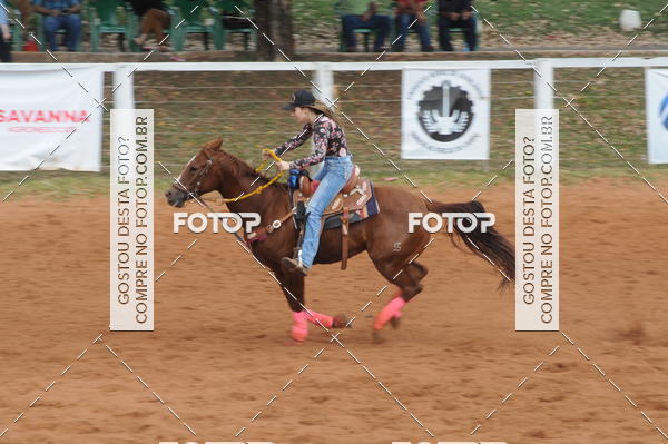 Buy your photos of the event3 TAMBORES ETAPA FINAL CAMARU on Fotop