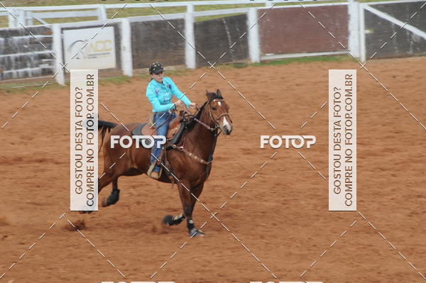 Buy your photos of the event3 TAMBORES ETAPA FINAL CAMARU on Fotop