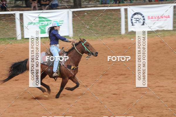 Buy your photos of the event3 TAMBORES ETAPA FINAL CAMARU on Fotop