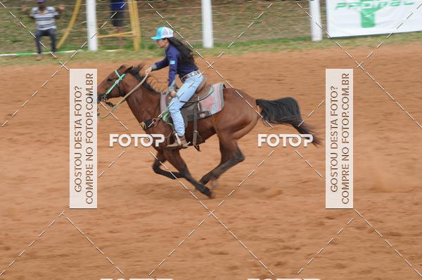 Buy your photos of the event3 TAMBORES ETAPA FINAL CAMARU on Fotop