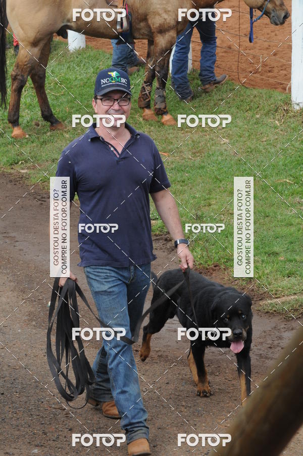 Buy your photos of the event3 TAMBORES ETAPA FINAL CAMARU on Fotop