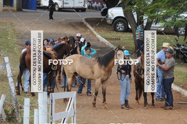 Buy your photos of the event3 TAMBORES ETAPA FINAL CAMARU on Fotop