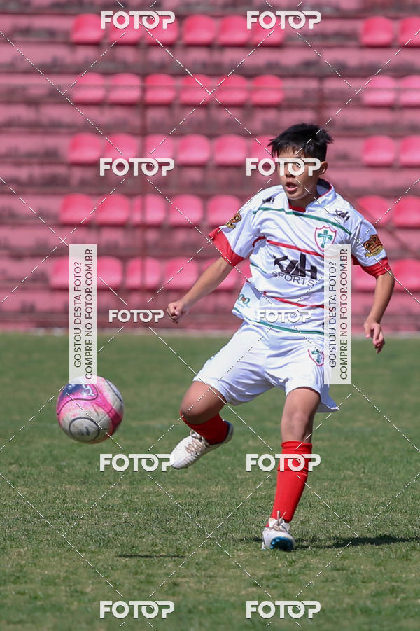 Buy your photos of the eventAudax x Portuguesa - SUB 11 e 13 on Fotop