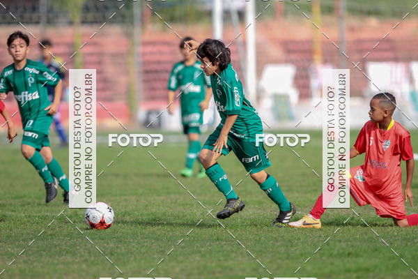 Compre suas fotos do eventoGrmio Osasco x Palmeiras - SUB 11 e 13 no Fotop