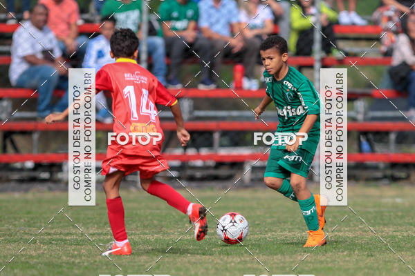 Compre suas fotos do eventoGrmio Osasco x Palmeiras - SUB 11 e 13 no Fotop