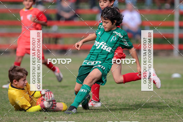 Acquista le foto dell'eventoGrmio Osasco x Palmeiras - SUB 11 e 13 in Fotop