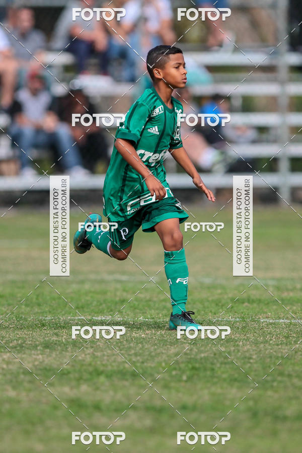 Acquista le foto dell'eventoGrmio Osasco x Palmeiras - SUB 11 e 13 in Fotop