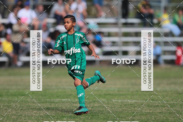 Acquista le foto dell'eventoGrmio Osasco x Palmeiras - SUB 11 e 13 in Fotop