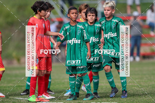 Buy your photos of the eventGrmio Osasco x Palmeiras - SUB 11 e 13 on Fotop
