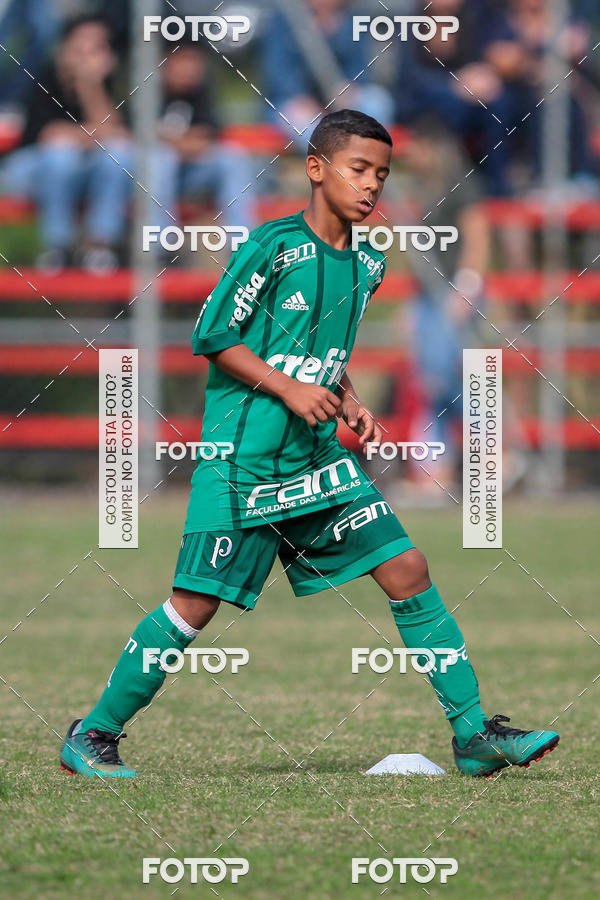 Buy your photos of the eventGrmio Osasco x Palmeiras - SUB 11 e 13 on Fotop