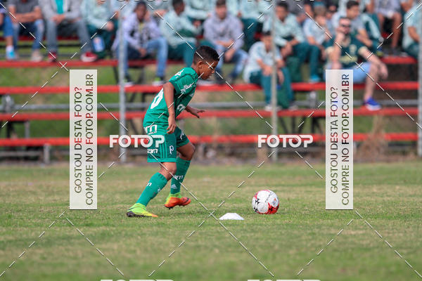 Compre as suas fotos do eventoGrmio Osasco x Palmeiras - SUB 11 e 13 no Fotop