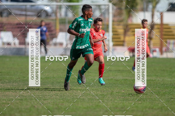 Buy your photos of the eventGr�mio Osasco x Palmeiras - SUB 11 e 13 on Fotop