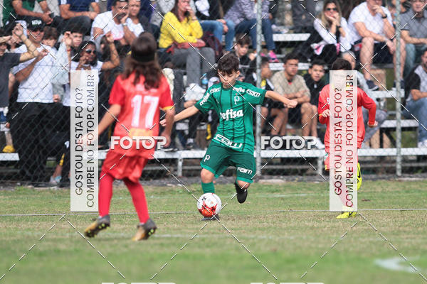 Compre as suas fotos do eventoGrmio Osasco x Palmeiras - SUB 11 e 13 no Fotop