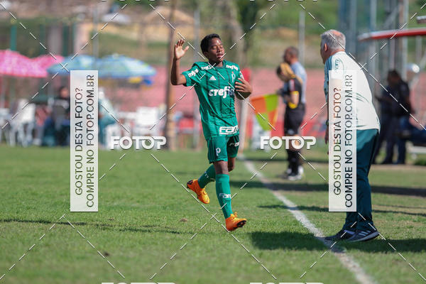 Buy your photos of the eventGrmio Osasco x Palmeiras - SUB 11 e 13 on Fotop