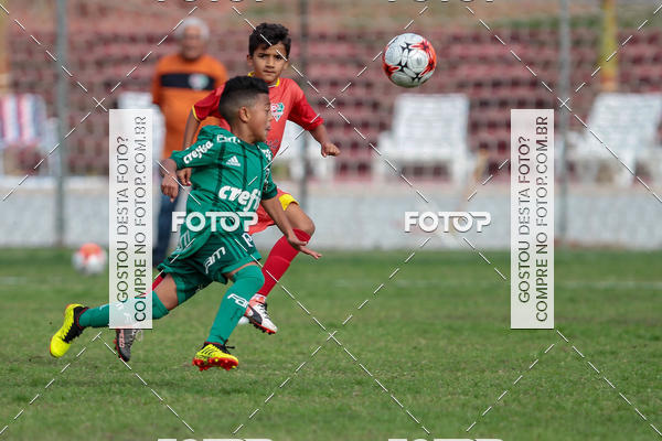 Acquista le foto dell'eventoGrmio Osasco x Palmeiras - SUB 11 e 13 in Fotop