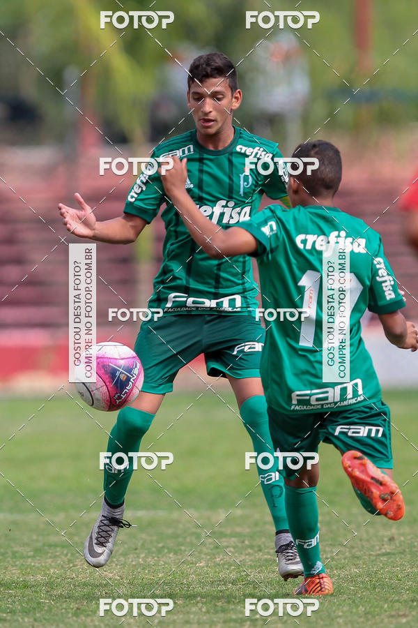 Acquista le foto dell'eventoGr�mio Osasco x Palmeiras - SUB 11 e 13 in Fotop