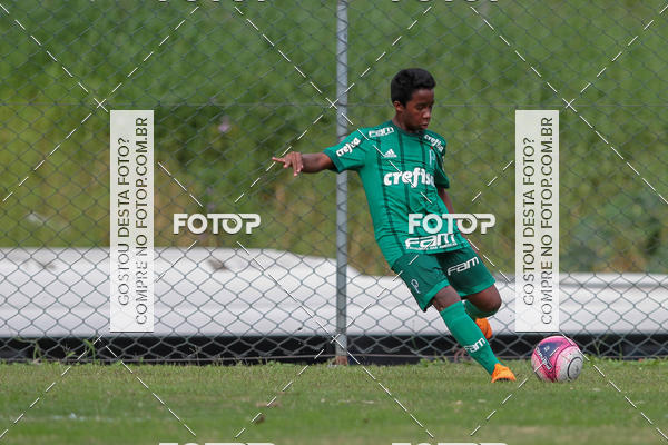 Buy your photos of the eventGr�mio Osasco x Palmeiras - SUB 11 e 13 on Fotop