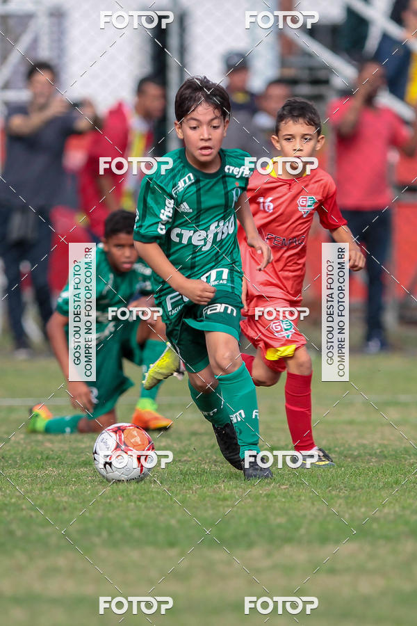 Acquista le foto dell'eventoGrmio Osasco x Palmeiras - SUB 11 e 13 in Fotop