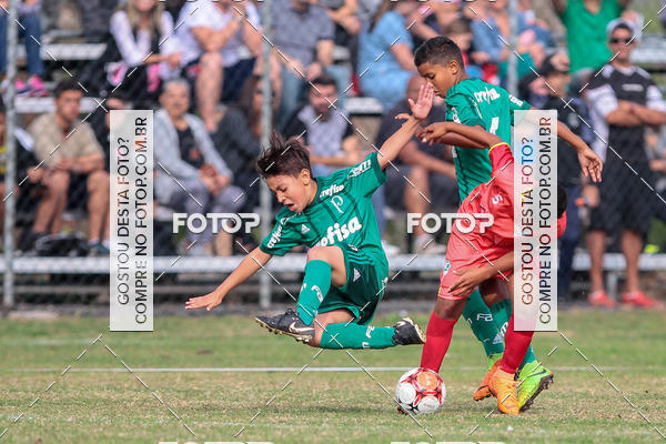 Compre as suas fotos do eventoGrmio Osasco x Palmeiras - SUB 11 e 13 no Fotop