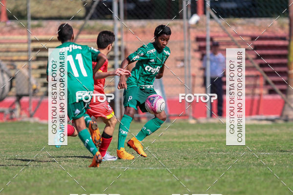 Buy your photos of the eventGr�mio Osasco x Palmeiras - SUB 11 e 13 on Fotop